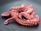 Cooking Class - Gourmet Fusion Fare: fresh octopus