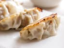 Cooking Class - Traditional Bento Box Favorites in Tampa: fresh potsticker dumplings elegantly plated