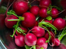 Online Cooking Class - Vegan Mediterranean Street Food: fresh radishes