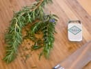 Cooking Class - Introduction to Bread Making in San Francisco: fresh rosemary