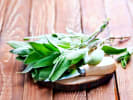 Online Mixology Class - An Old-Fashioned, Four Ways: fresh sage leaves