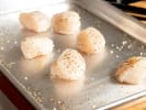 Cooking Class - Lavish Land and Sea Fare: fresh scallops