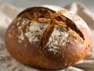 Cooking Class - Elevated Bread Baking in Toronto: fresh sourdough