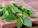 Online Cooking Class - Flavors of Thailand: fresh thai basil