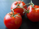 Cooking Class - Magic of Morocco in Baltimore: fresh tomatoes