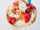 Food Tour - Delicious Diversity in Greenwich Village in Manhattan: frozen yogurt