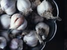 Cooking Class - Season’s Greetings From Mexico in Culver City: garlic cloves