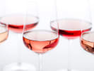 Virtual Wine Tasting - Women-Owned Premium Canned Wine: glasses of rose wine