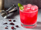 Online Mixology Class - Mixology 101: hibiscus ginger beer cocktail