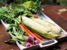 Cooking Class - Basic Knife Skills and Cooking Techniques for Kids in East Bay: vegetable tray