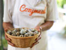 Cooking Class - From Russia With Love in San Francisco: Quail eggs