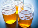 Cooking Class - Cooking With Kombucha: kombucha