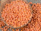 Online Cooking Class - Wholesome Veggie Burgers in Downtown Denver: lentils