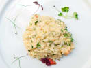 Cooking Class - Italian Risotto Techniques in Pittsburgh: lobster risotto