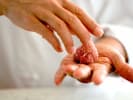 Cooking Class - Vietnamese Cuisine: Traditional & Tasty: making meatballs by hand