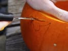 Cooking Class - Pumpkin Carving and Seasonal Cookery: man carving a pumpkin