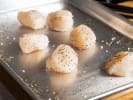 Cooking Class - Flavorful Seasonal Fish: michael raw scallops
