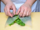 Cooking Class - Incredible Sushi Spread: michael vietnamese wrap