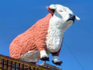 Food Tour - Tejano Trails, the True Flavors of Texas in Dallas: monument in Dallas (2)