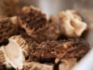 Cooking Class - Gourmet French Technique in San Jose: morel mushrooms