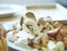 Cooking Class - Vegan Japanese Favorites in Downtown Seattle: mushrooms