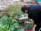 Market Tour + Class - Explore the Santa Cruz Farmers' Market in South Bay & Peninsula: Chef's garden