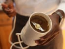 Cooking Class - North and South Indian Favorites in South Bay Los Angeles: Herbs