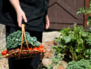 Market Tour + Class - Explore the Santa Cruz Farmers' Market in South Bay & Peninsula: Chef's garden