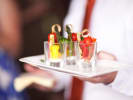 Culinary Adventure - Color Theory Cocktail Party at an Art Gallery: passed appetizers