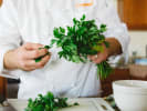 Cooking Class - At the Indian Cooking Table in Downtown Dallas: picking fresh coriander leaves