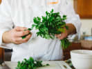 Cooking Class - Easy Indian Recipes in Boulder: picking fresh coriander leaves