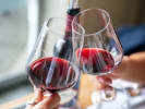 Virtual Wine Tasting - Wine Tasting Fundamentals: pinot noir wine