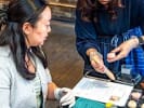 Team Building Cooking Class - Sculpt Japanese Sweets as a Team: preparing Nerikiri
