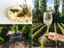 Culinary Adventure - Seasonal Dinner at a Vineyard: private dinner at winery