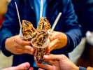 Private Food Tour - A Culinary Adventure in Vancouver: private vancouver food tour   ice cream