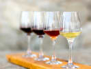 Virtual Wine Tasting - Small-Batch Premium Canned Wines: red wine and white wine