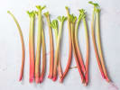 Cooking Class - Incredible Fusion Flavors: rhubarb