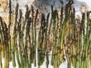 Cooking Class - Elegant French Techniques: roasted asparagus