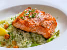 Cooking Class - Authentic Italian Cooking: roasted salmon on risotto