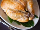 Cooking Class - New American Classics: roasted whole chicken