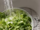 Cooking Class - International Comfort Favorites in Manhattan: romaine lettuce being washed