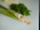 Cooking Class - Miso Ramen in East Bay: scallion photo