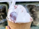 Food Tour - Italian Treasures of North Beach in San Francisco: scoop of gelato