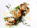 Cooking Class - Classic French Seafood Fare: seared scallops