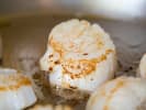 Cooking Class - Seasonal Seafood Dinner: searing scallops
