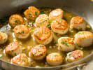 Cooking Class - Elegant French Cooking Favorites in San Fernando Valley: searing scallops