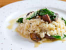 Cooking Class - Italian Classics Made Vegan in Manhattan: seasonal vegetable risotto