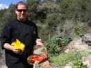 Market Tour + Class - Explore the Santa Cruz Farmers' Market in South Bay & Peninsula: Chef
