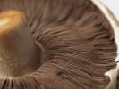 Cooking Class - Classic American Vegetarian Favorites: Portobello Mushrooms