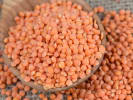 Cooking Class - Explore Northern India in San Jose: Panchmel Dal